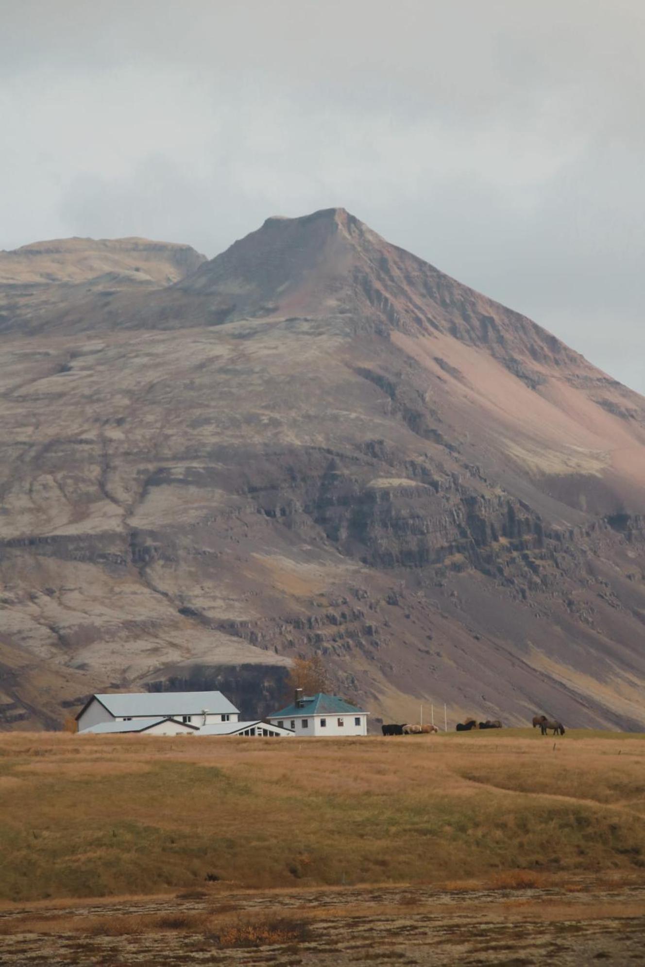 Glacier World - Hoffell Guesthouse Exterior foto