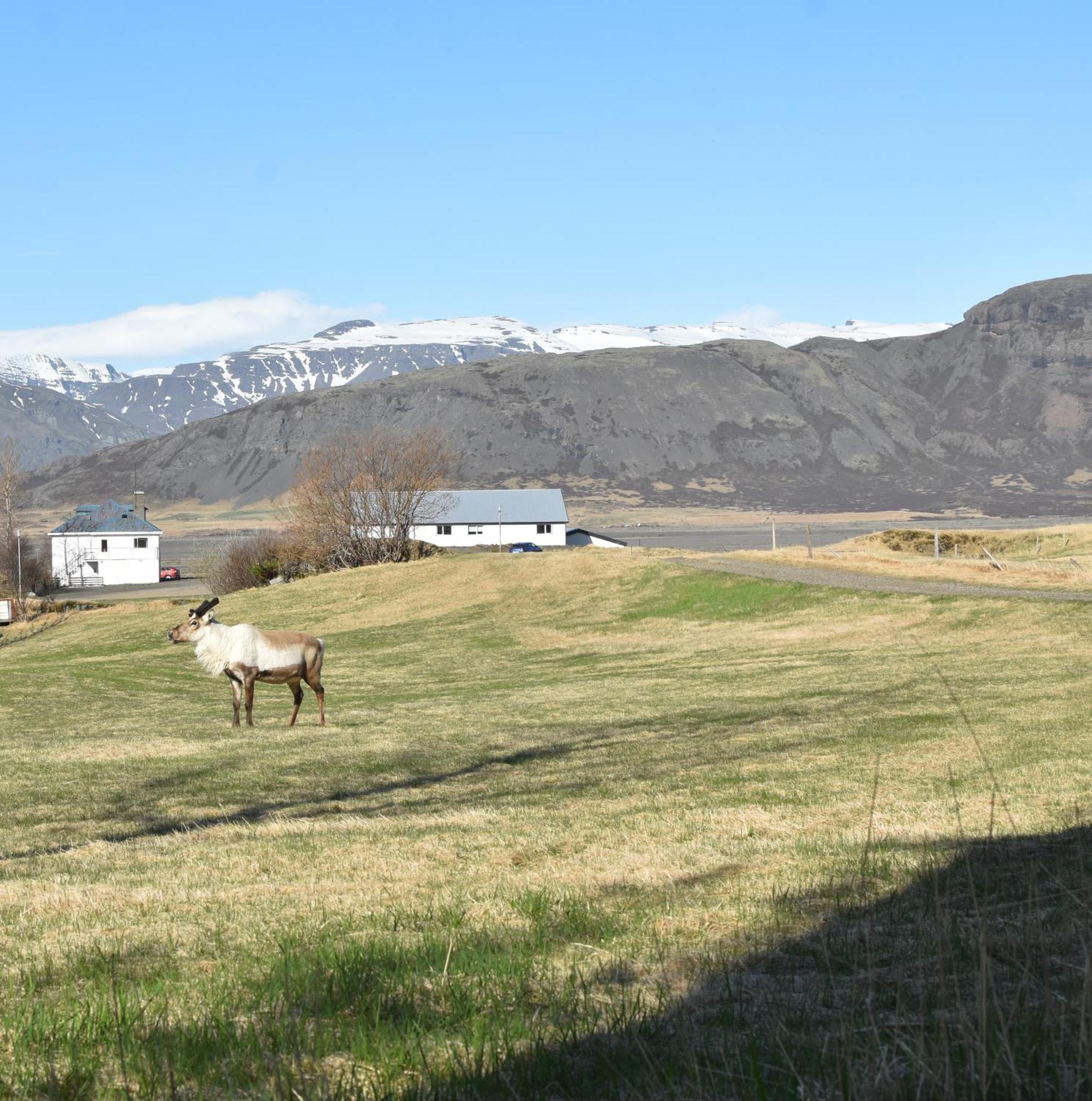 Glacier World - Hoffell Guesthouse Exterior foto